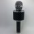 WSTER - Wireless Microphone HIFI Karaoke Speaker WS-858