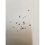 screw set for Apple ipod Touch 5 ipod Touch 6 Touch 7