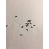 screw set for Samsung Galaxy S6 edge G9250 G925