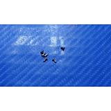 screw set for Samsung Tab A 8" T350 T351 T355