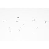 screw set for iphone 5